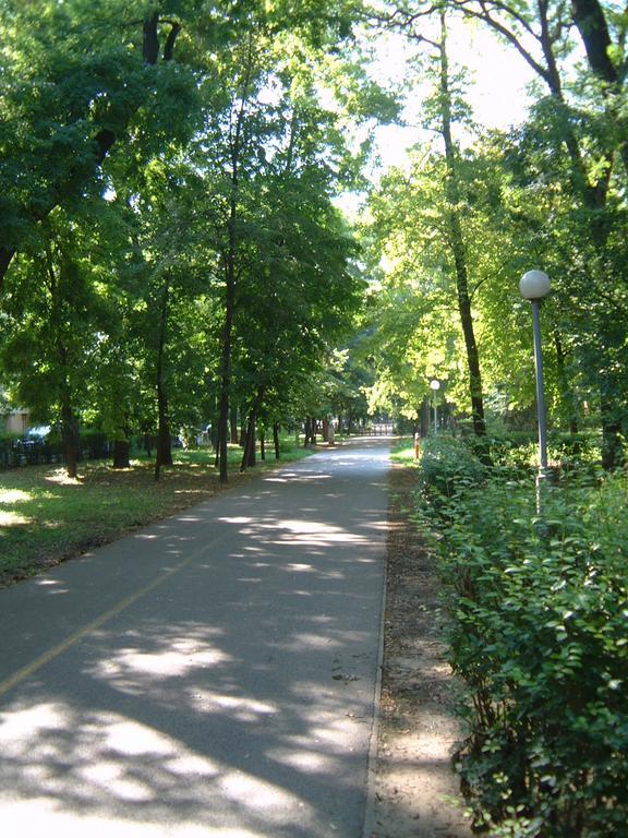 Park Vendégház Kecskemét Exterior foto